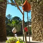 Les Mayombes 4*