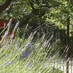 Les Mayombes Bed and breakfast Roquebrune-sur-Argens