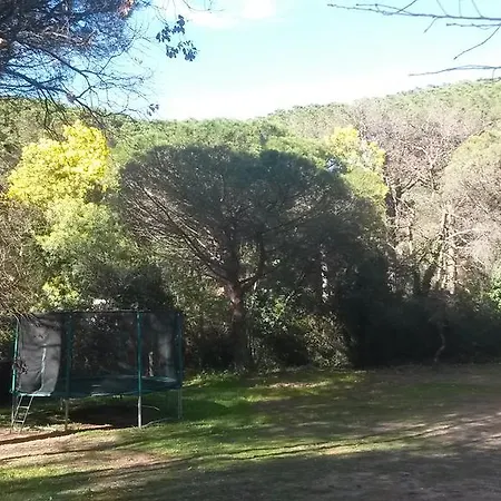 Les Mayombes Roquebrune-sur-Argens