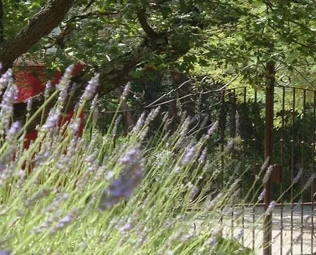 Les Mayombes Bed & Breakfast Roquebrune-sur-Argens