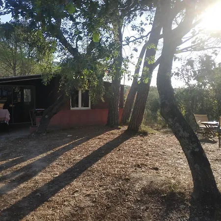 Bed & Breakfast Les Mayombes Roquebrune-sur-Argens