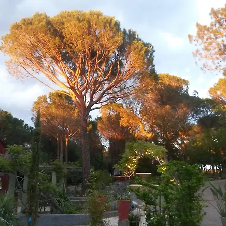 Les Mayombes Bed & Breakfast Roquebrune-sur-Argens