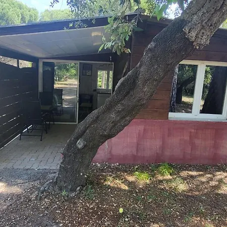 Bed & Breakfast Les Mayombes Roquebrune-sur-Argens