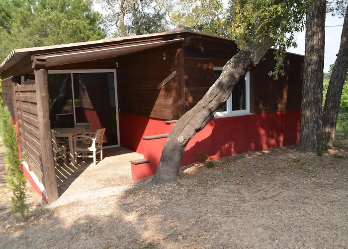 Bed & Breakfast Les Mayombes Roquebrune-sur-Argens