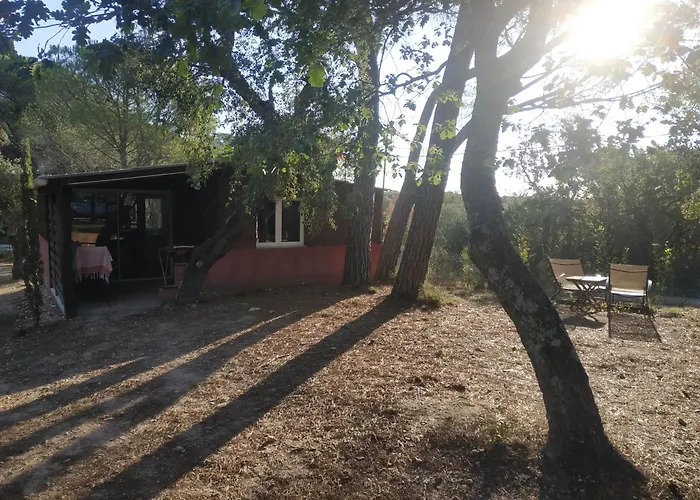 Bed & Breakfast Les Mayombes Roquebrune-sur-Argens