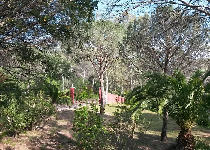 Les Mayombes 4* Roquebrune-sur-Argens