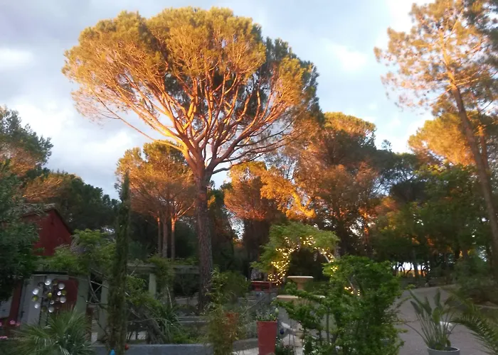 Les Mayombes Bed & Breakfast Roquebrune-sur-Argens